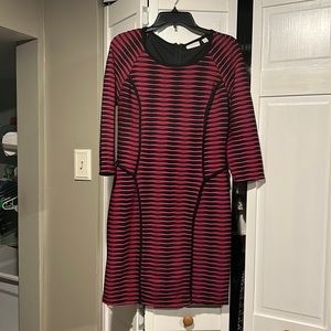 New York & Company form fitting dress